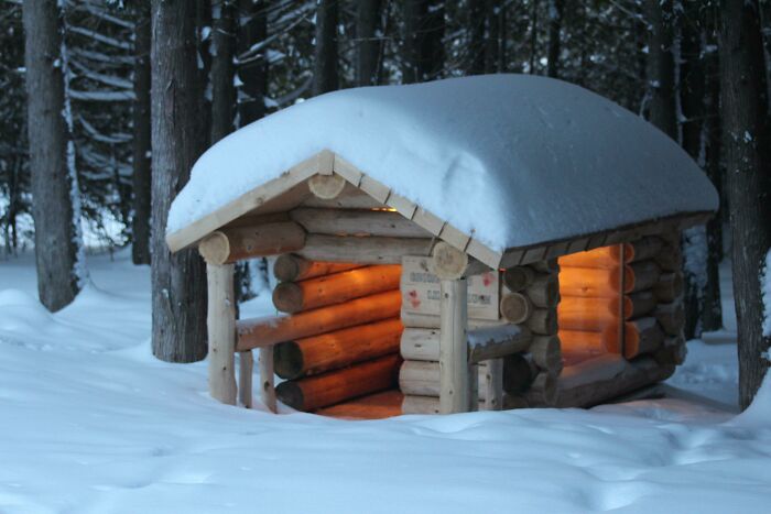  Built This About 6 Years Ago For Our Dogs. Made From Logs On Our Land, 4 Feet Wide, 7 Feet Long And A Small Heat Lamp For The Winter