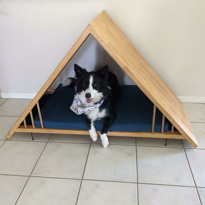 Meet Sammy And Her New House!