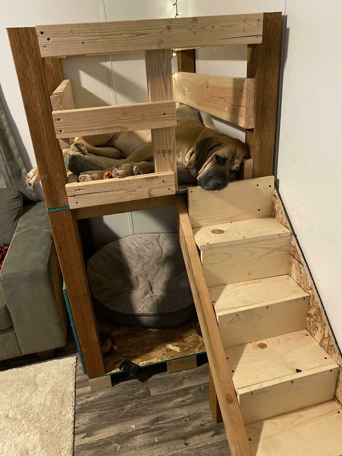 I Made A Two Story Dog House For My Mastiff. I Haven’t Even Painted Yet And She Loves It