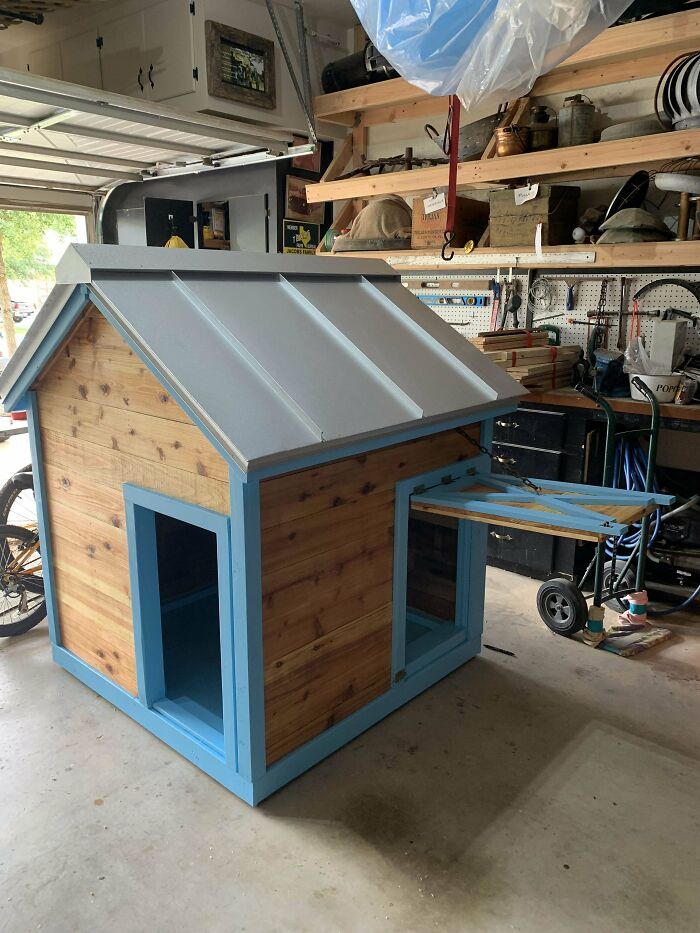 First Doghouse