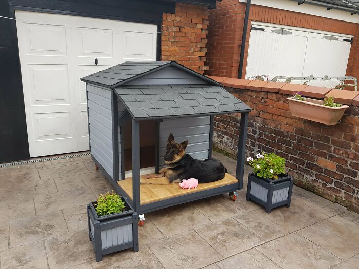 Kennel I Made For My 5 Month Old GSD