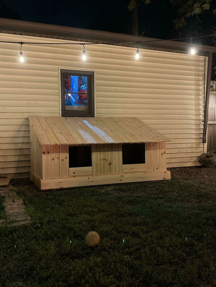 My Husband And I Built A Dog House Yesterday For Our 3 Heelers!