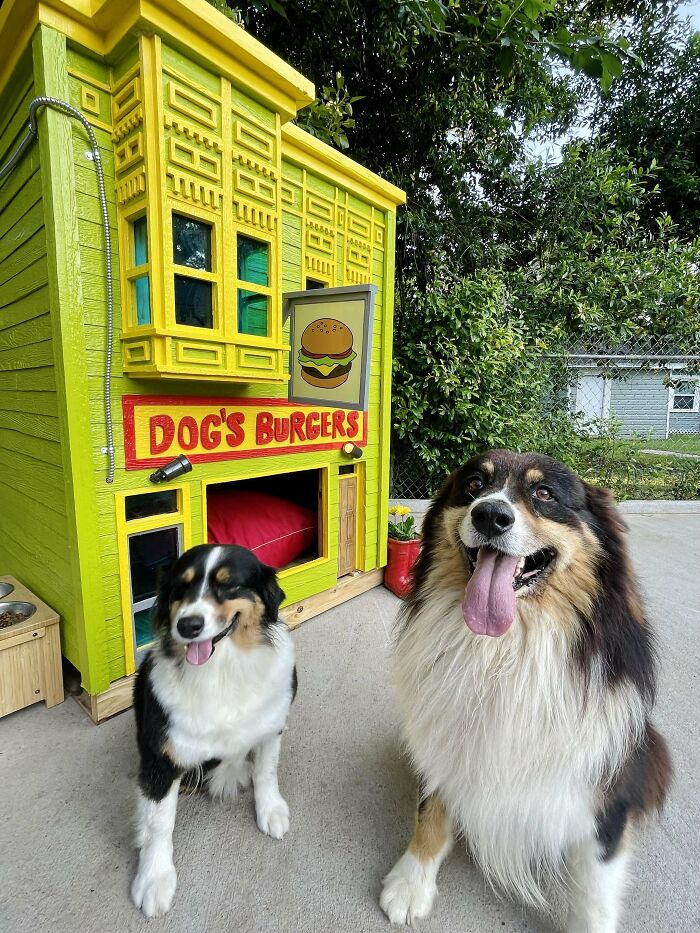Dogs Burgers