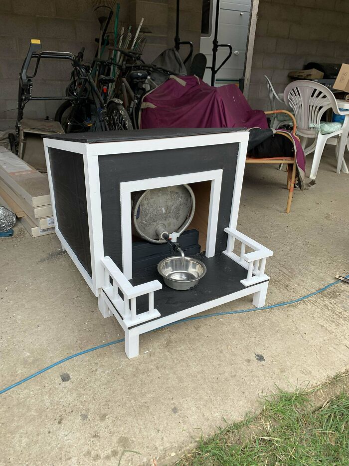 Bar para perros en un pub de la zona