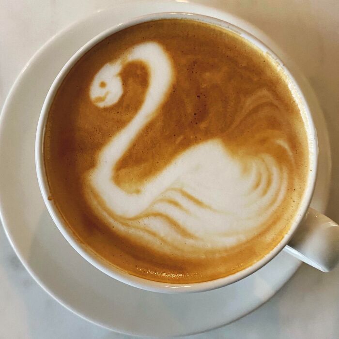 Bad Swan, Good Nessie
