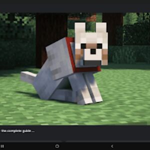 neohjingyangmoe avatar