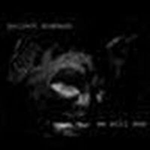 thomasdellafave avatar