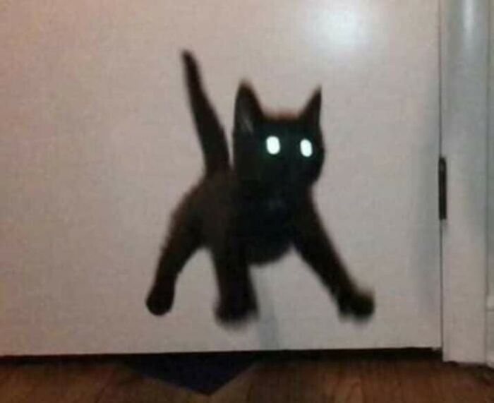 Cursed_spook