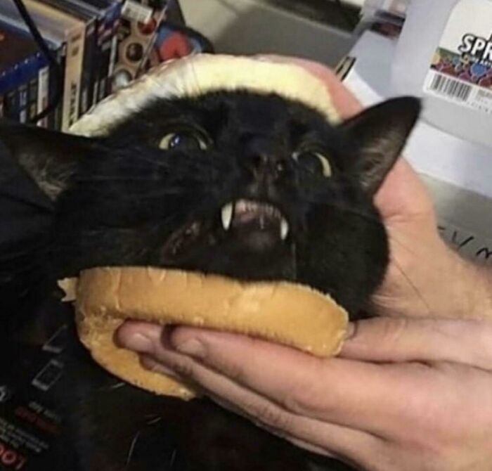 Cursed_burger