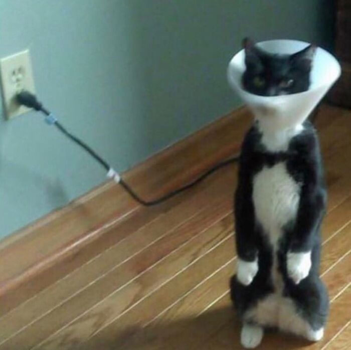 Cursed_lamp