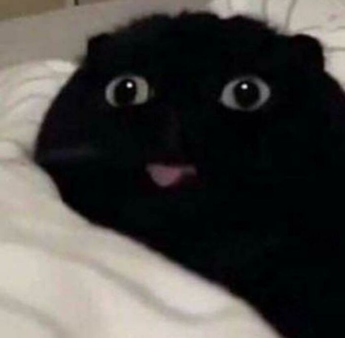 Cursed_black_tongue