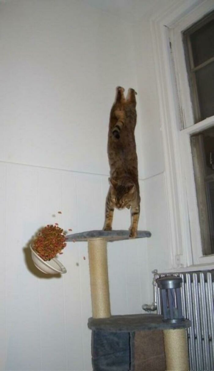 Cursed_handstand