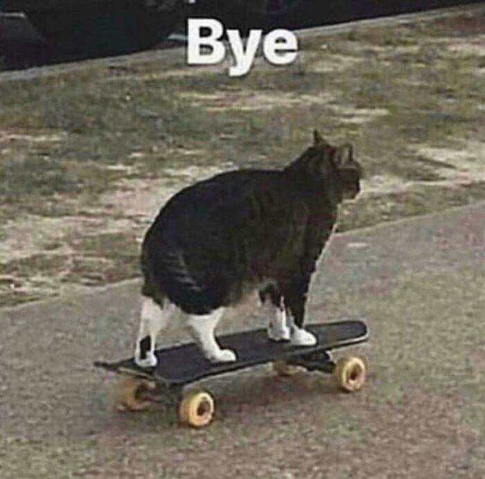 Cursed_skateboard