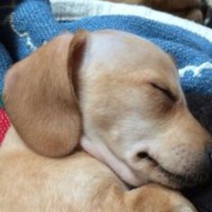 marszalekbeth avatar