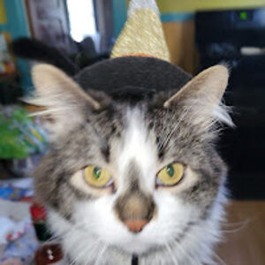 edwardmarkovitz avatar