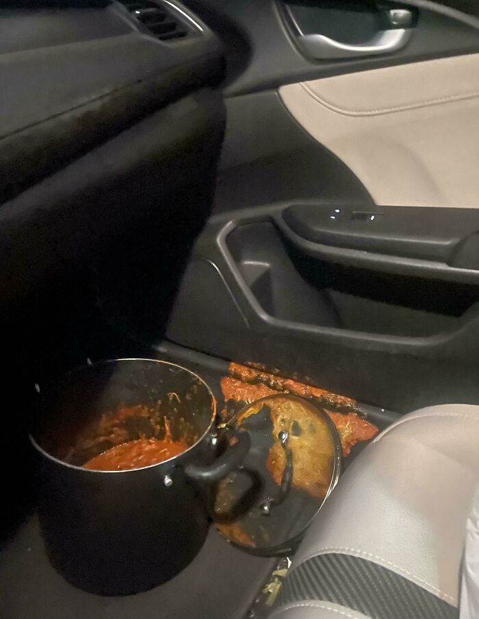 I Accidentally Spilled Tinga In My New Car