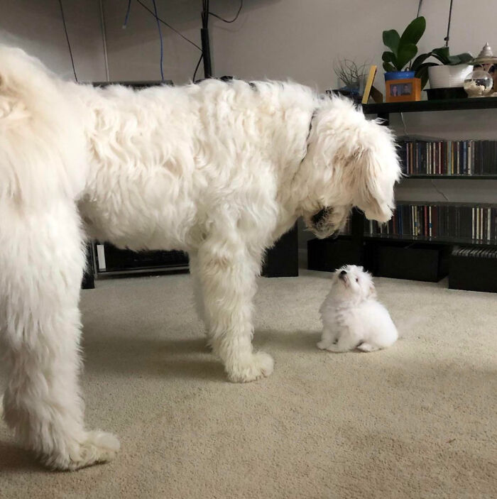 New Brothers Meeting For The First Time