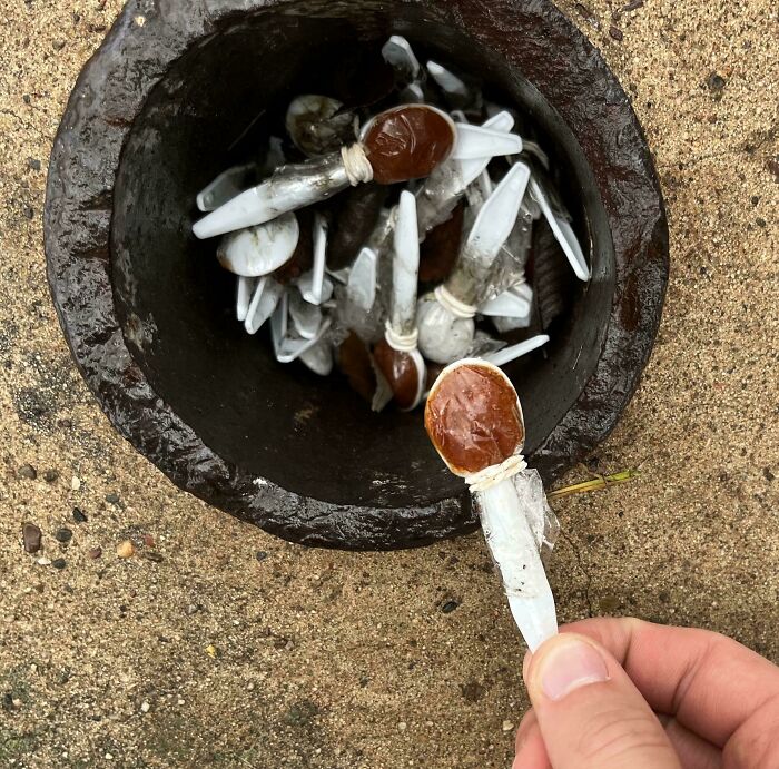 Small Plastic Spoons With Brown Substance, Individually Packaged And Found In A Public Park Exposed To The Elements