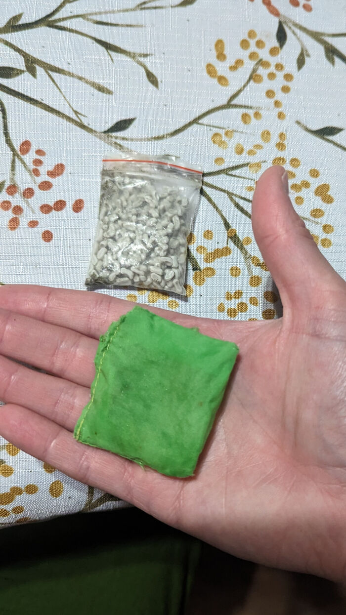 Found At Tide Pools - Green Nylon Pouch With Ziploc Bag Of Mystery Stuff