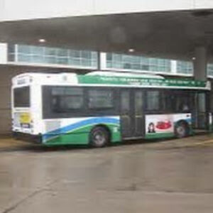 bryttafitzgibbons avatar