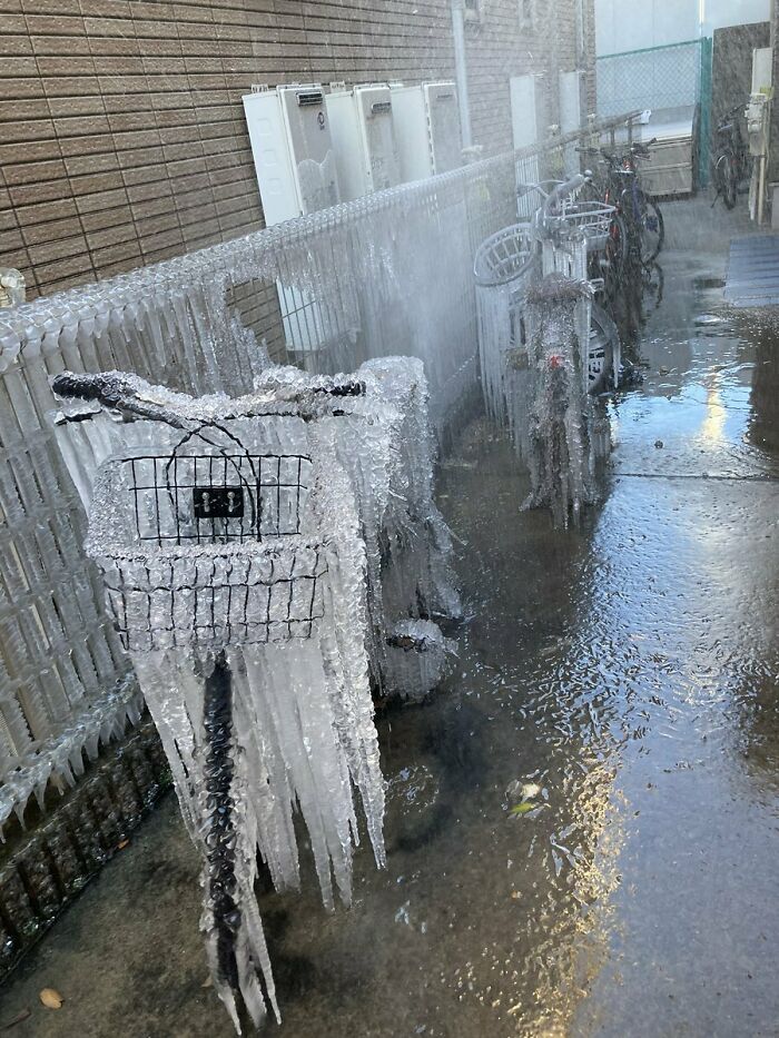 Cold Wave In Japan