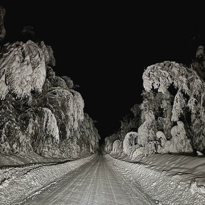 I Took A Picture Of Our Road On A Winter Night