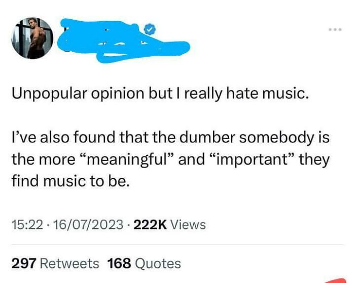 Enjoying Music Is For Stupid People