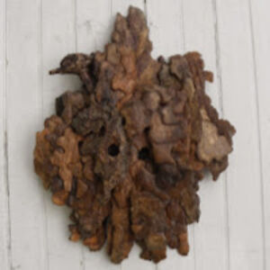 timothyhoover_1 avatar