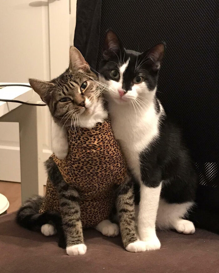 Meet Lola And Tobi, Six-Month-Old Brother And Sister