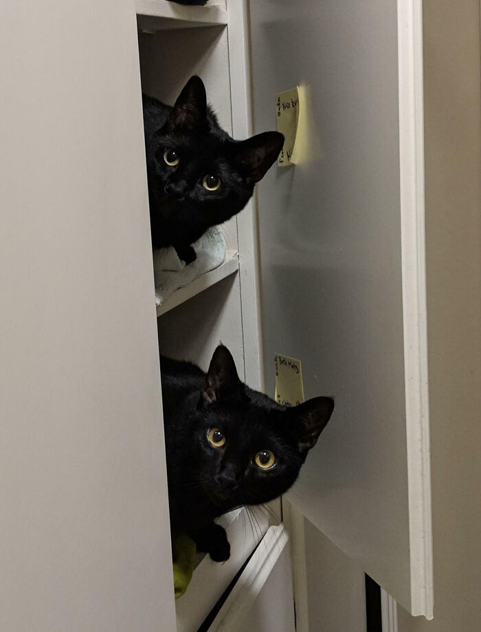 Brother And Sister Exploring The Linen Closet