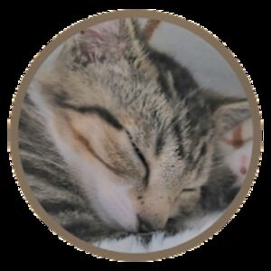 maevelynarmstrong avatar