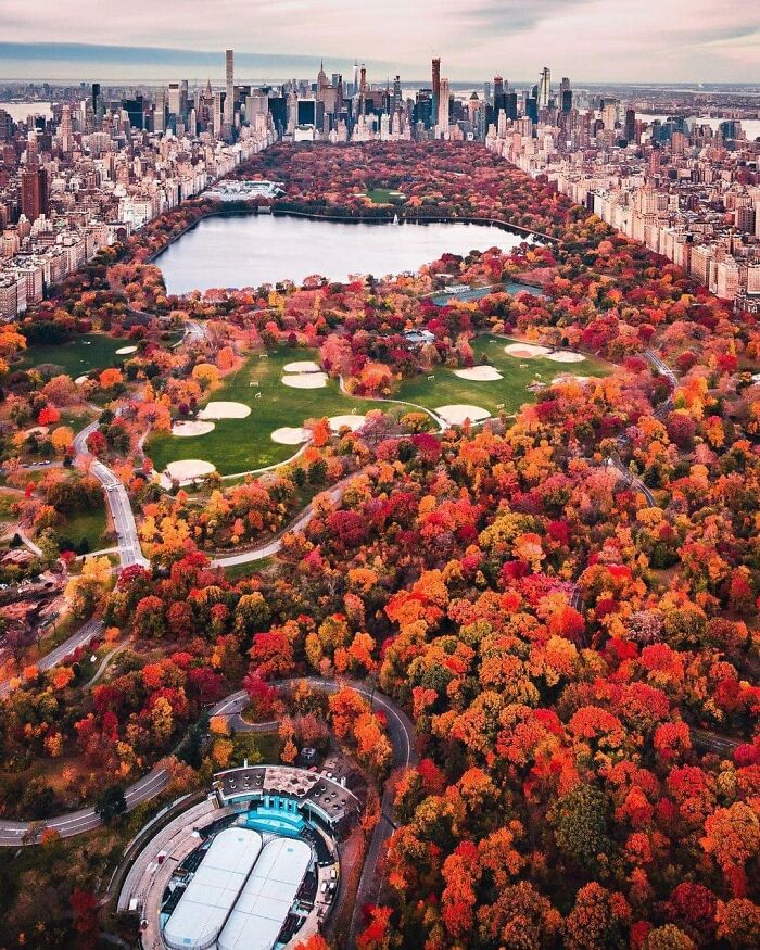 Autumn In New York - Central Park As Seen From High Above