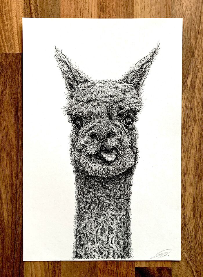 (Oc) Alpaca Made With 40 Hours Of Dots