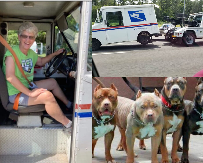 61-Year-Old Postal Worker Pamela Rock Was Out Delivering Mail When Her Mail Truck Had Broken Down. When She Got Out Of The Truck To Get Help She Was Attacked By A Pack Of Dogs That Mauled Her To Death