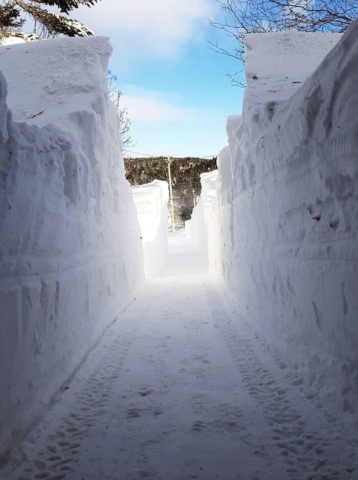 Picture I Took Of My Driveway During Day 2 Of Snowmageddon