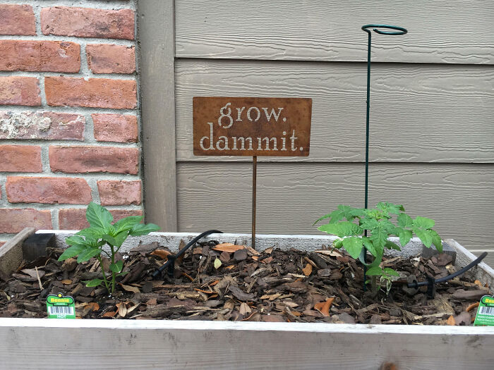 Gave My Husband A Sign For Valentine’s Day That Fully Embodies His Experience Gardening
