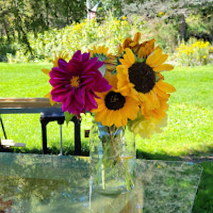 susangunderson avatar