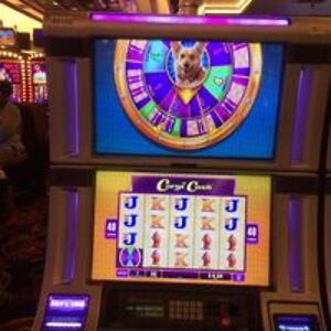 krystal_chranda_lear avatar