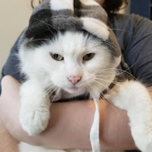 demonspawn050394 avatar