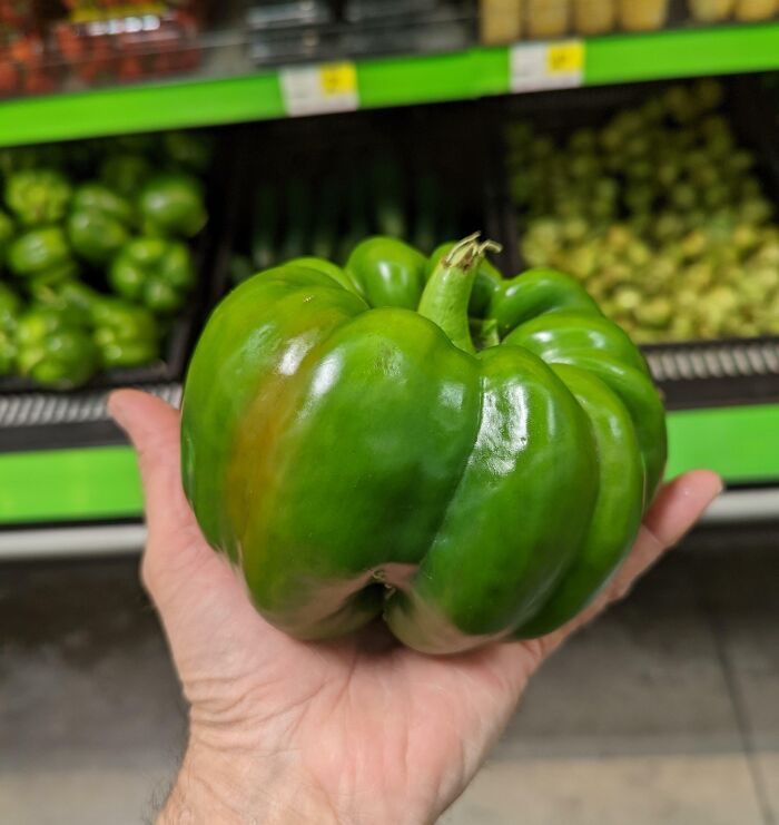 This Pepper Looks Like A Pumpkin