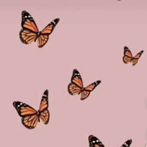 savvyharrison avatar