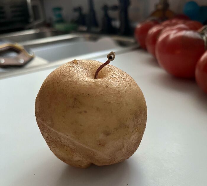 Esta patata parece una manzana