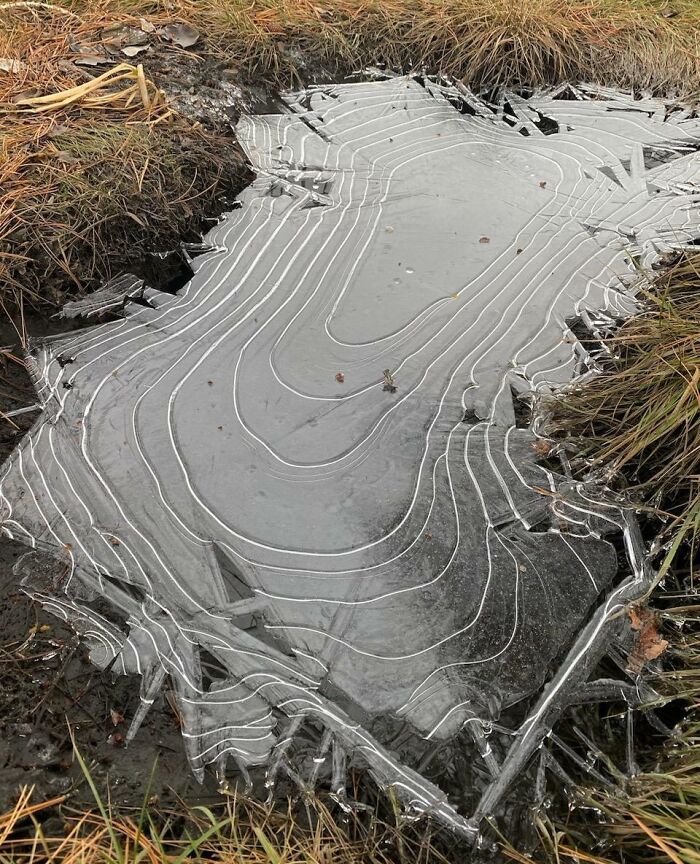 This Frozen Puddle Looks Like A Topographical Map
