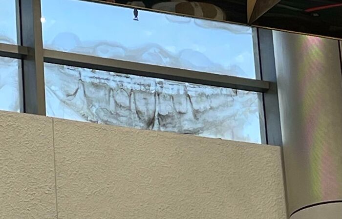 Dirt On A Window At Miami International Airport That Looks Like A Dental X-Ray