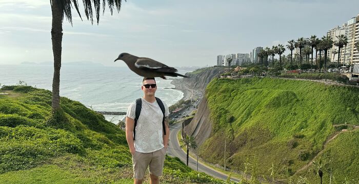 Bird Flew By During A Picture. Now It Looks Like A Giant Bird Landed On My Head