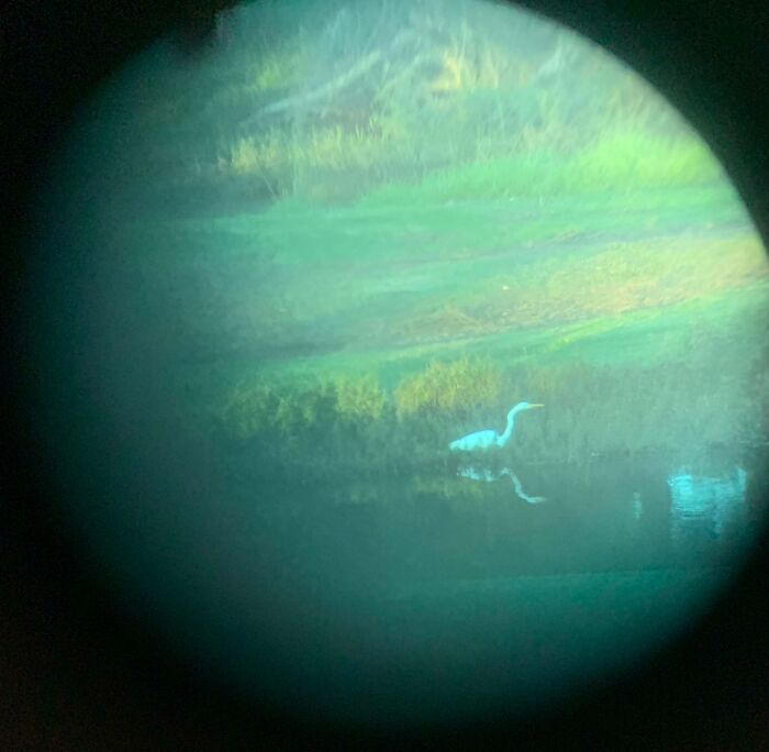 This Photo I Took Of A Bird Through My Binoculars Looks Like A Planet