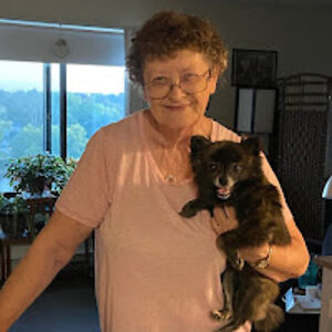 donnalaplante avatar