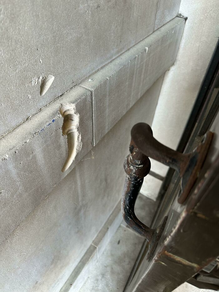 The Way These Door Handles Have Worn Down The Wall They Hit