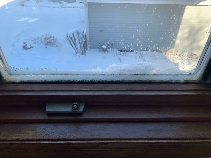 It’s So Cold That The Inside Of My Window Is Beginning To Freeze