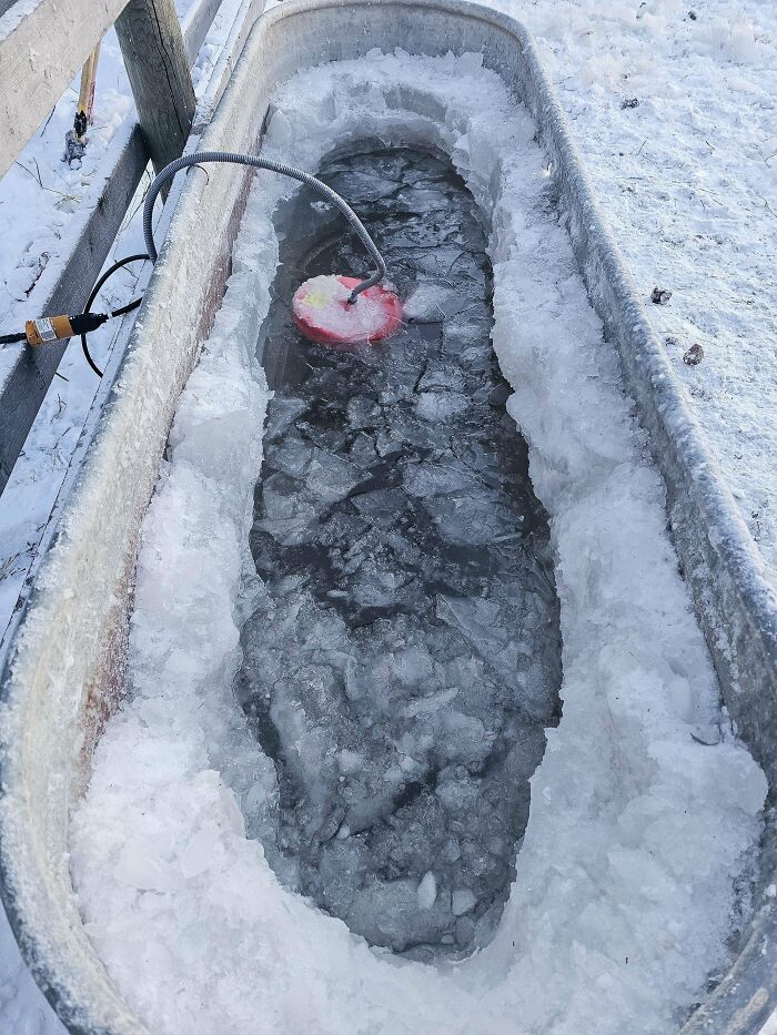 -50c / -58f Temperatures In Alberta, Canada And The Livestock Water Heater Can't Keep Up